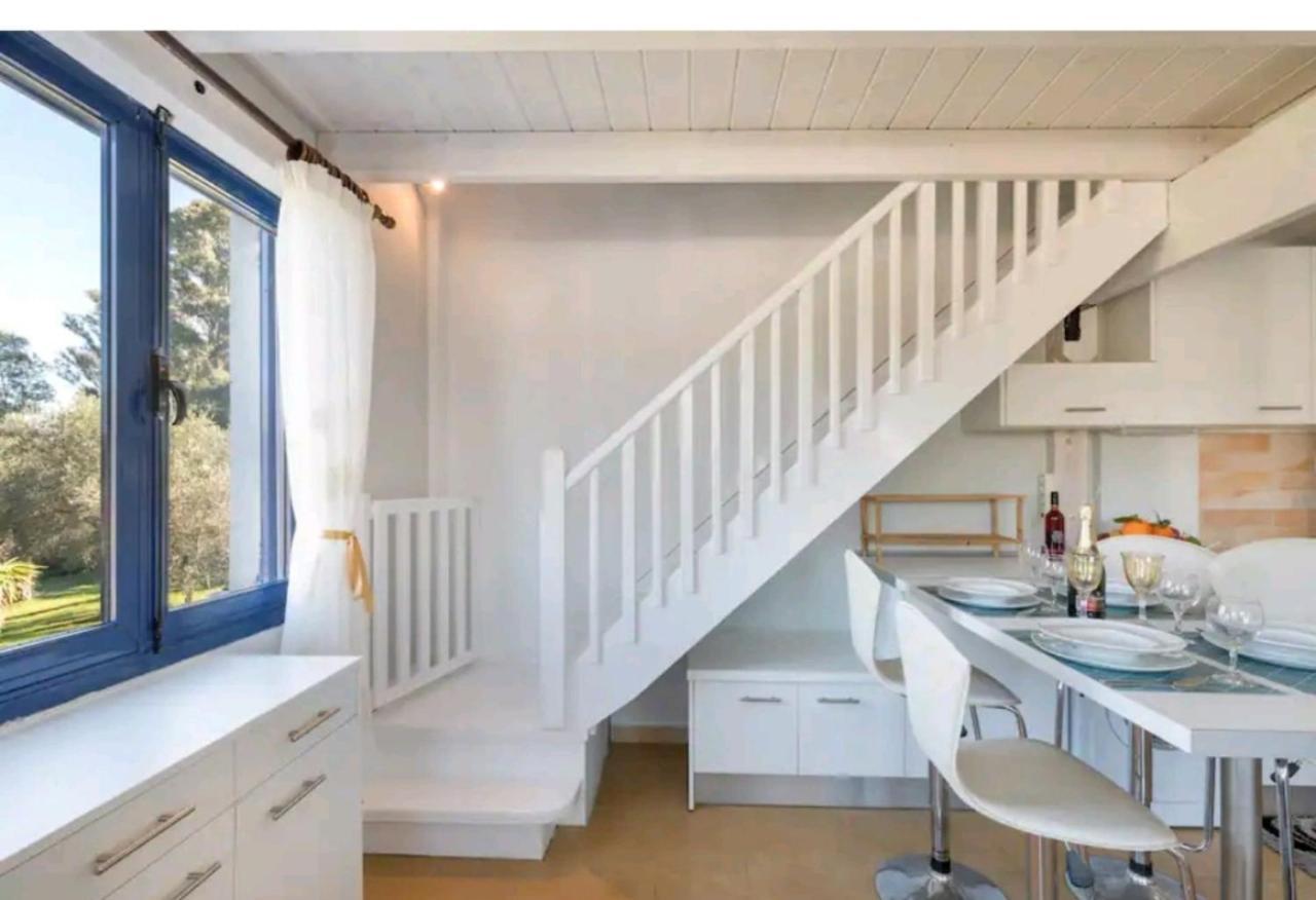 Govino Bay Luxury Beach Loft Apartment Danilia 外观 照片